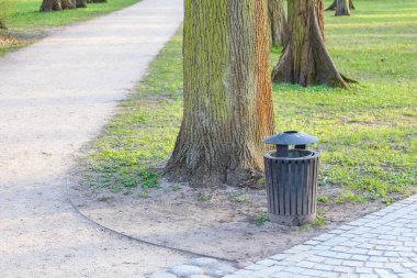 Güneşli bahar gününde Şehir Parkı Çöp Kutusu Ağaç Gövdesinin yanında kaldırım taşı yolu ile