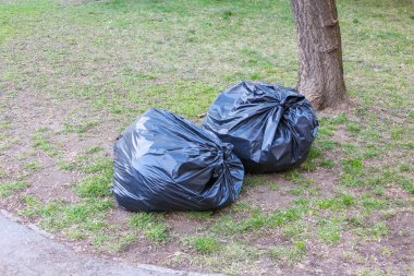 Grassy Park Bölgesi Bekleme Koleksiyonunda İçi Atık Dolu İki Siyah Plastik Çöp Torbası