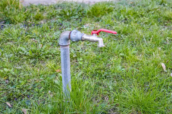 Açık Su Musluğu Metal Boruya bağlanmış Kırmızı Saplı Kamu Bahçesi 'ndeki Çimenli Topraktan Korunuyor