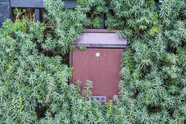 Kırmızı posta kutusu, yoğun yeşil çalıların arasına kısmen gizlenmiş. İnsan yapımı nesne ile doğal büyüme arasında zıtlık oluşturuyor.