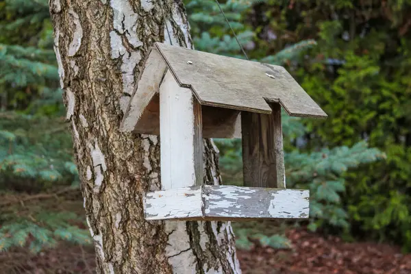 Kırsal Tahta Kuş Yemi Ağaç Gövdesine Bağlandı Doğal Orman Ormanında Vahşi Yaşam Sığınağı Oluşturdu