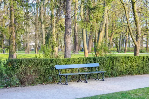 Yeşil Ağaçlar ve Bahar Çalılarıyla çevrili Yoldaki Boş Mavi Park Beneği