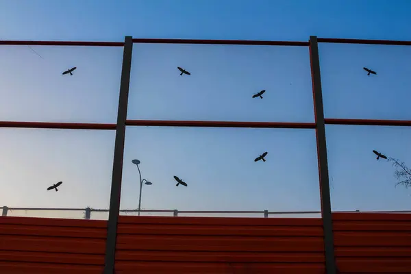 Kırmızı Üs ve Mavi Gök 'e Karşı Tünemiş Kuşlarla Endüstriyel Metal Eskrim