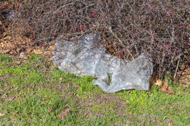 Çevresel Kirlilik Gösterme Sorunu Yeşil Çimenler Üzerine uzanan Atılmış Temiz Plastik Sayfa