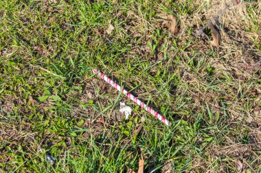 Şehir Parkı 'ndaki Yeşil Çimlerin Üzerinde Küçük Tahta Sopa veya Dal Yatıyor