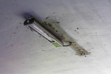 Endüstri binasının tavanında yanık izleri olan flüoresan lamba armatürü hasar görmüş.