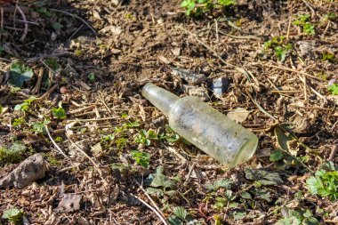 Atılmış Plastik Şişe Ölü Yapraklar ve Kuru Bitkiler Arasında Yatar Çevresel Kirliliği Gösterir