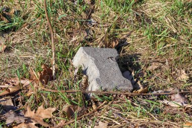 Solmuş Çimen ve Erken Bahar Bitkileriyle çevrili Antik Taş Parçalarının Yakın Görüntüsü