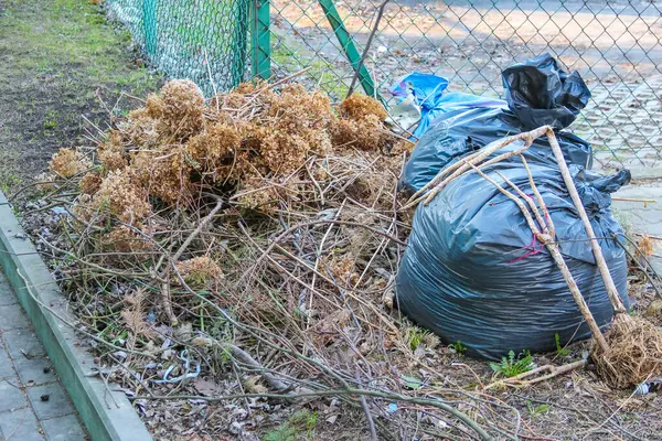 Bahçe Atık Koleksiyonu: Gübre Malzemeleri ve Mavi Plastik Torbalarda Bahçe Döküntüleri