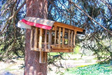 Kırsal Tahta Kuş Yemi Bahar Ormanı 'ndaki Ağaç Gövdesine Bağlandı