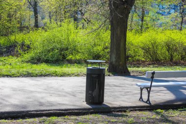 Güneşli bir günde Ağacın Altındaki Çöp Kutusunun yanındaki Boş Park Bençinde Baharın Yeşilliği