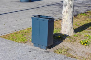 Baharda Çimen Yamalı Şehir Kaldırımında Gri Metal Çöp Kutusu Ağaca Yaklaştı