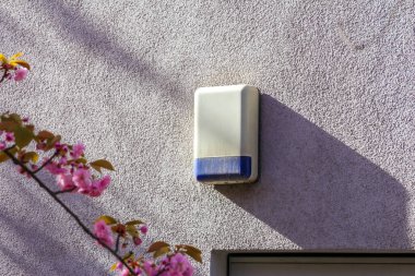 İlkbaharda Pembe Kiraz Çiçeği dallı Gri Bina Duvarında Hareket Algılayıcı