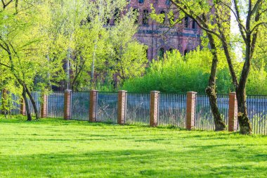 Banliyö Bahçesi 'nde ahşap çit ve canlı ağaçlarla yemyeşil baharlar çimenliği