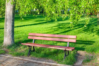 Yeşil Bahar Çayırında Ağaçların Altındaki Kırsal Ahşap Park Doğal Işıklı