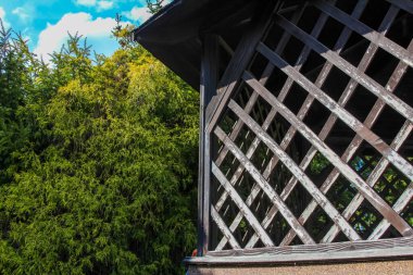 Bahçe dekorasyonu için yeşil yapraklı tuğla duvara karşı ahşap kafes paneli