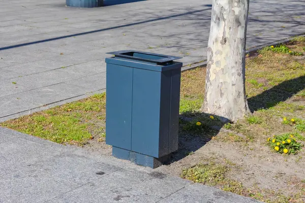 Baharda Çimen Yamalı Şehir Kaldırımında Gri Metal Çöp Kutusu Ağaca Yaklaştı