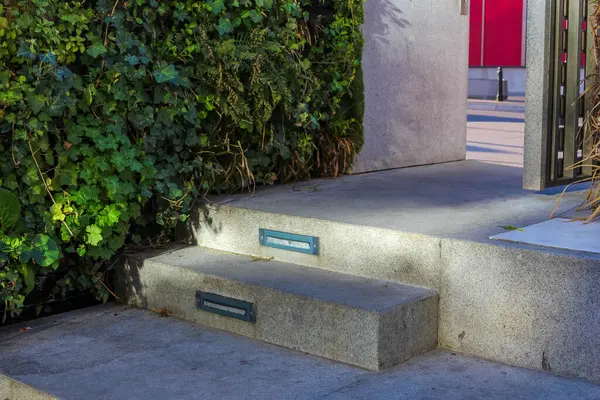 Beton Basamaklı Minimalist Bahçe Girişi ve Modern Peyzaj Tasarımı Yaratan Yeşil Çitler