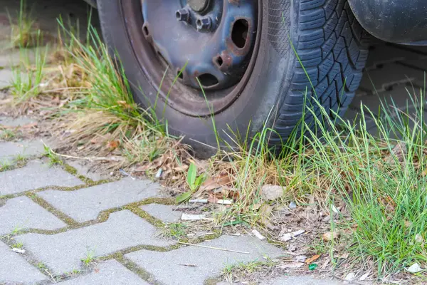 Çimlerin çatlaklardan geçtiği kaldırımda eski kamyon lastiği şehir ihmalkarlığını ve doğanın ısrarını gösteriyor.