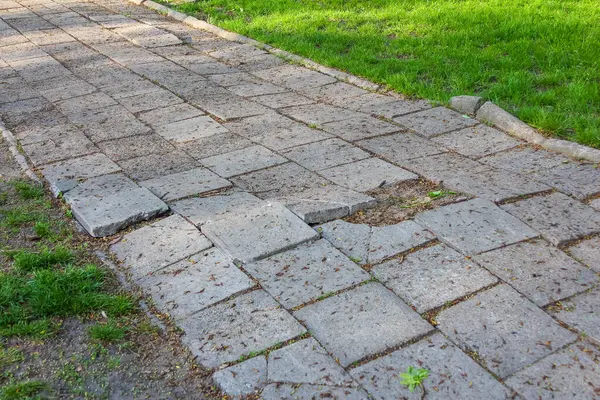 Taş Asfalt Yolu Yeşil Çimenle Parkta Dokulu Yüzey Detayları ve Karşıtlığıyla Buluşma