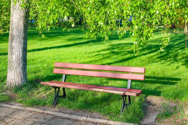 Yeşil Bahar Çayırında Ağaçların Altındaki Kırsal Ahşap Park Doğal Işıklı