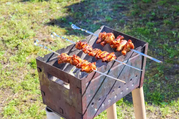 Baharatlı et şişleri portatif metal barbekü ızgarasında pişiriliyor çimenli arka bahçede.