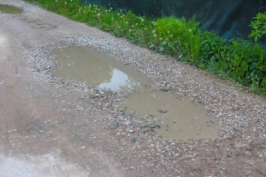 Kırsal Toprak Yol 'da Yağmur Suyu birikintisi Yeşil Çimen Büyüyor Bahar Duşundan Sonra Kenarlarda