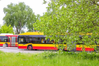 Yaz kenti taşıma merkezinde yeşil ağaçların yakınına park edilmiş renkli şehir otobüsleri