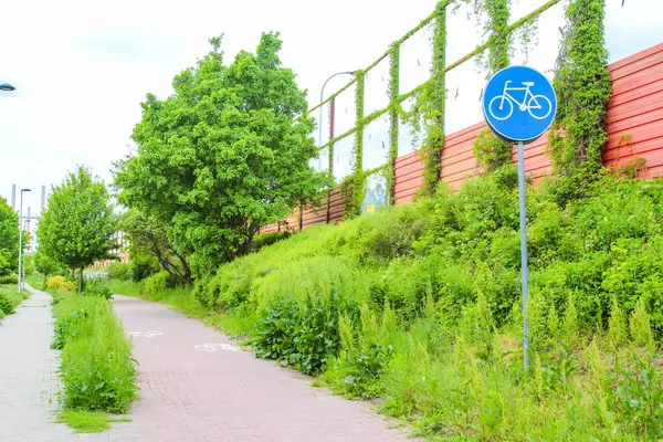 Banliyö parkındaki yemyeşil bitki örtüsünün yanında mavi işaretli özel bisiklet yolu.