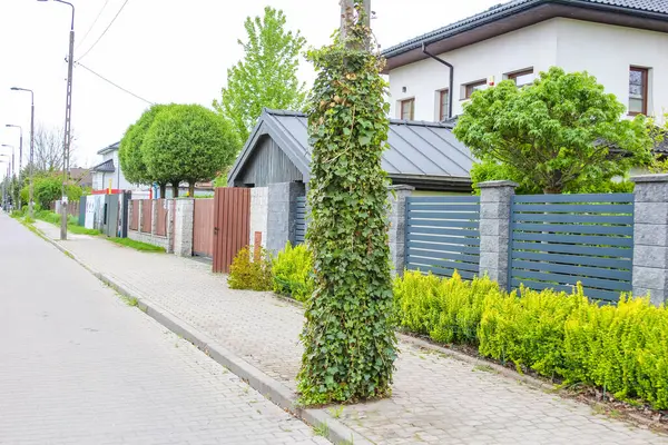 Büyüleyici apartman sokakları dekoratif süsler ve kentsel çevrede bakımlı çitler sergilenen düzenli evlerle dolu.