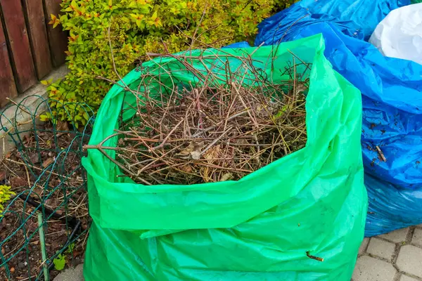 Çitin yanında toplanmayı bekleyen kurumuş bahçe atıkları ve bitki artıklarıyla dolu yeşil plastik torba.