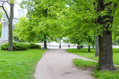 Yemyeşil Yaz Yeşili Yeşilliği ile Şehir Parkı 'nda Huzurlu Ağaçlarla çevrili Yol