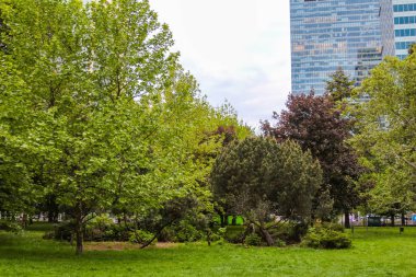 Baharda Farklı Ağaçlar ve Açık Bahçe Alanlı Geniş Kentsel Park Yeşil Alanı