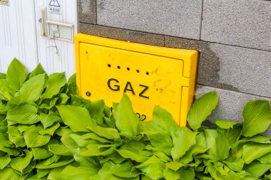 Parlak sarı gaz sayacı kısmen yeşil hosta yaprakları ile gizlenmiş konut bahçe ayarları