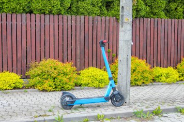 Mavi elektrikli scooter, sarı çalıların ve yerleşim alanındaki kırmızı çitlerin yanına park edilmiş.
