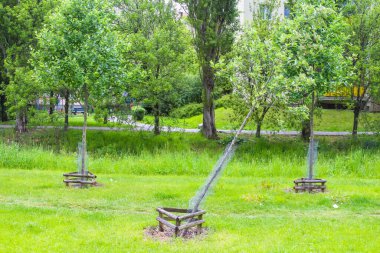 Piknik Masaları Canlı Yeşil Park Çayırları boyunca Genç Ağaçlar ve Ekipmanlarla Dağılmış