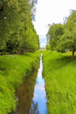 Söğüt ağaçlarının durgun sulara yansıdığı yemyeşil kırsal bölgede huzurlu kanal yolu
