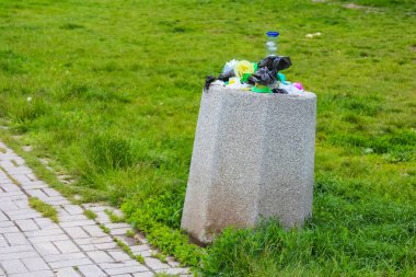 Yeşil Çayırdaki Taş Anıt ya da Kuş Yemi Sessiz Yansıma Alanına giden Paved Yolu ile