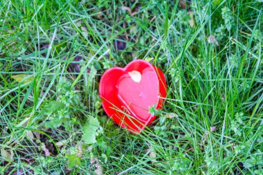 Parlak Kırmızı Kalp Şeklinde Nesne Yeşiller Arasında Yuvalanmış Çarpıcı Renkler Oluşturuyor