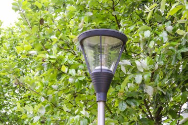 Çağdaş Açık Hava LED Lambası Şehir Parkındaki Yeşiller Arasında Kısmen Gizli