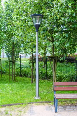 Çağdaş Park Sahnesi Yeşil Ağaçlarla çevrili Uzun Lamba Postası ve Ahşap Benç