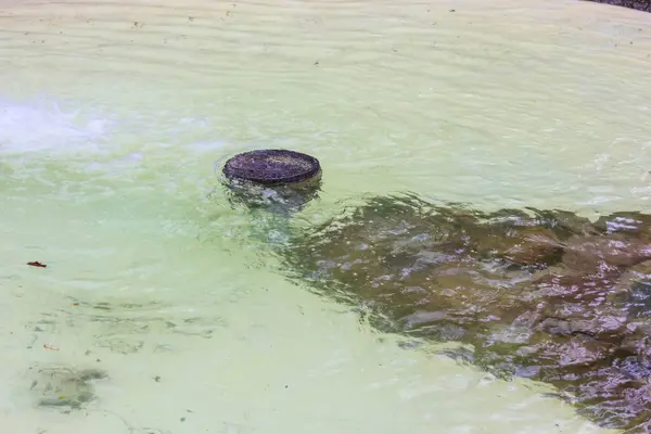 Su Altındaki Kaya ve Su Bitkileriyle Doğal Göl Kenarı Şehir Parkı 'nda Su Ekolojisini Gösteriyor
