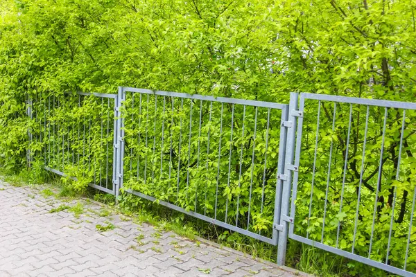 Güvenlik için canlı yeşil bitki örtüsünün önünde dikey parmaklıklar olan metal güvenlik bariyeri.