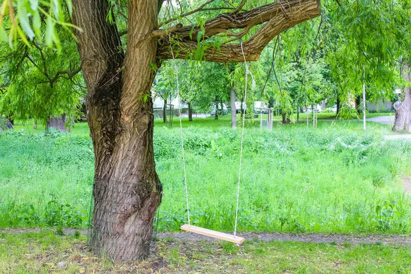 Baharda Yeşil Park Çayırı 'na bakan Büyük Ağaç Dalından Askıya Alınan Tahta Salıncak