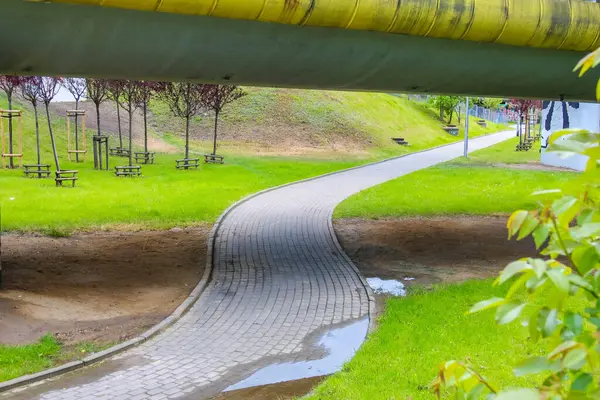 Yeşil Park 'ta Ağaçlar Arasında Eğlence İçin Sahne Yürüyüşü Oluşturan Eğri Yol