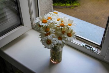 Pencere kenarındaki Cam Kapta Doğal elementleri İçeriye Getiren Basit Beyaz Daisy Buketi