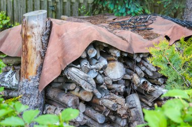Korumaya alınmış odun yığını. Bahçedeki kuru odunları tutan görünür bir el.