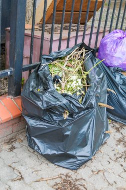Bahçe Atık Siyah Çöp Torbası ve Taze Yeşil Süslemeler Toplanmaya Hazır