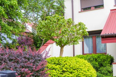 Renkli Çiçek Bitkileri ve Manikürlü Çitlerle Çağdaş Konut Binası 'nın çevresindeki verimli peyzaj