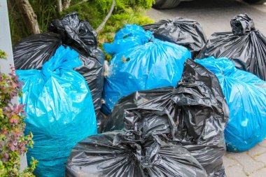 Mavi ve Siyah Çöp Torbası Koleksiyonu Yeşil Çalılar 'ın yanında.